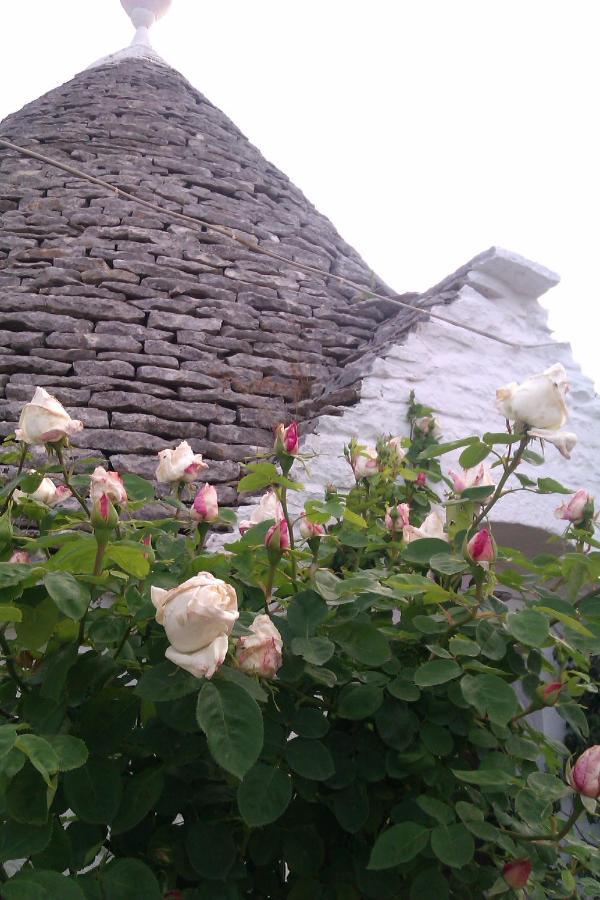 Bed and Breakfast Trulli La Casa Di Rosa à Alberobello Extérieur photo