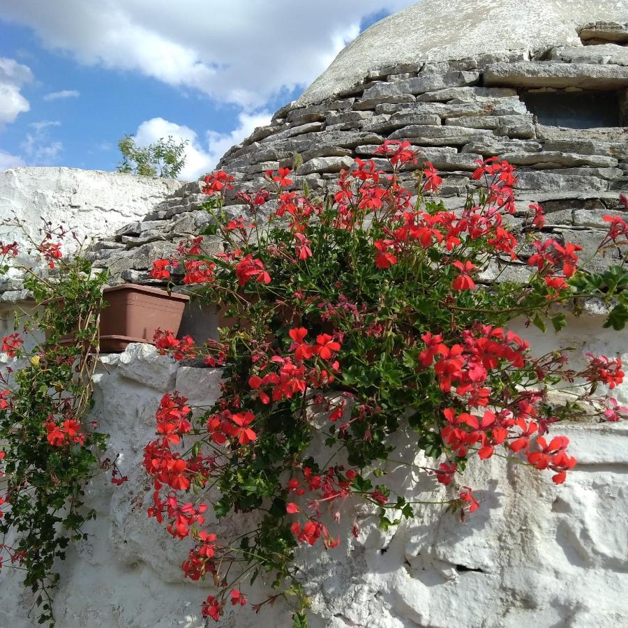 Bed and Breakfast Trulli La Casa Di Rosa à Alberobello Extérieur photo