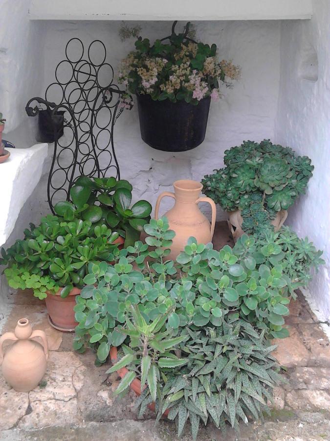 Bed and Breakfast Trulli La Casa Di Rosa à Alberobello Extérieur photo