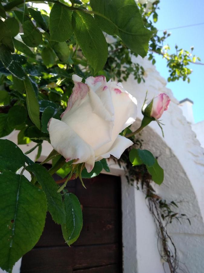 Bed and Breakfast Trulli La Casa Di Rosa à Alberobello Extérieur photo