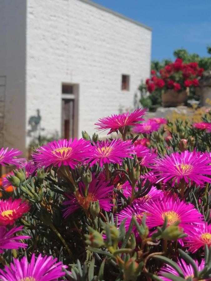 Bed and Breakfast Trulli La Casa Di Rosa à Alberobello Extérieur photo