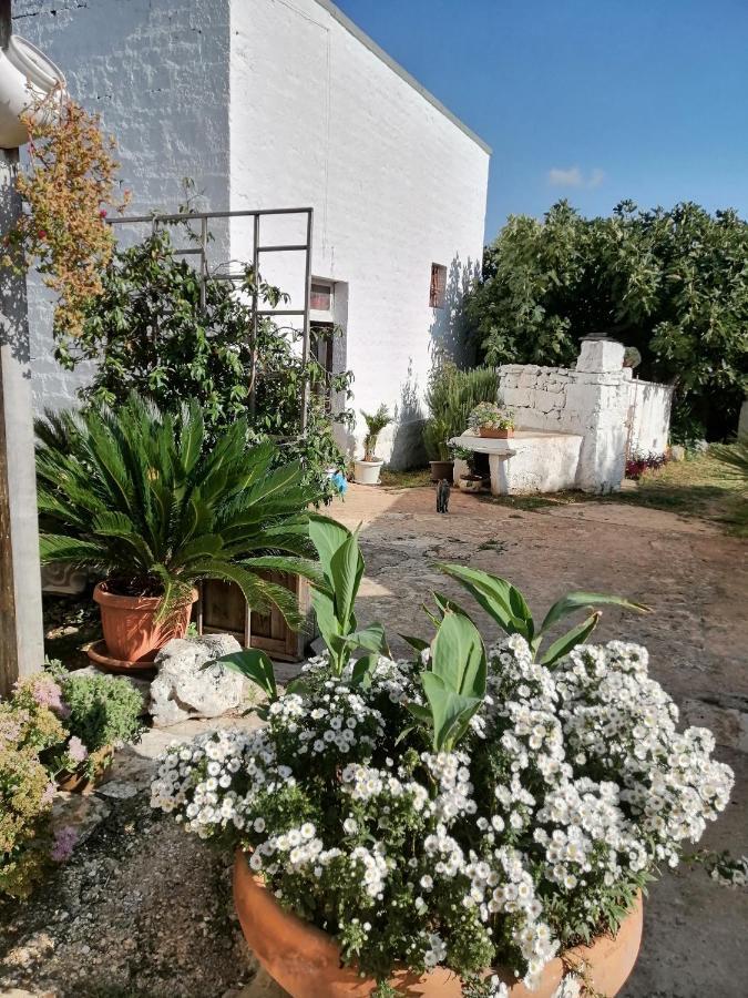 Bed and Breakfast Trulli La Casa Di Rosa à Alberobello Extérieur photo